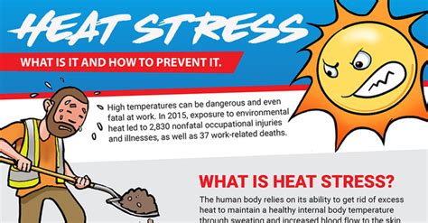 Heat Stress Infographic Creative Safety Supply