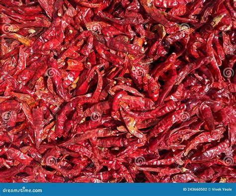 Dried Red Chilli Peppers In India Stock Photo Image Of Selling Chile