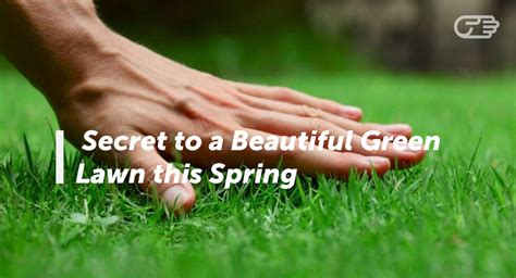 5 Tips For Achieving The Greenest Grass On The Block This Spring