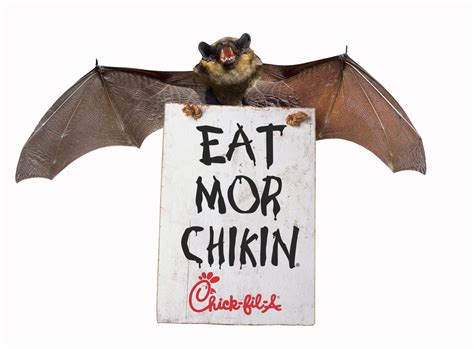 chick fil a launches new eat more chikin campaign in china wsmh19 local news