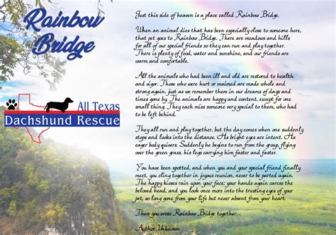 Rainbow Bridge Cats Prayer For Grieving Humans