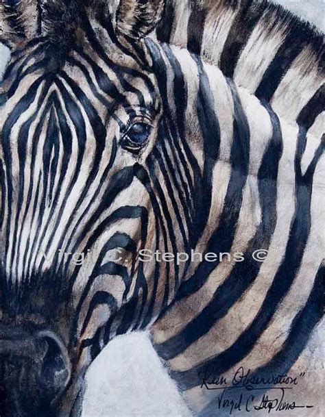 Zebra Artwork Keen Observation Print From The Original Oil Etsy