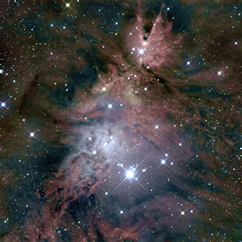 The Christmas Tree Cluster And Cone Nebula Telescope Live