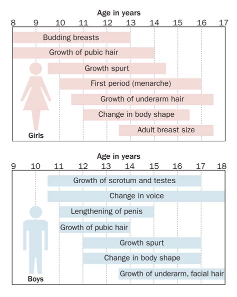 The Stages Of Puberty In Girls Parenting Girls Pube Vrogue Co