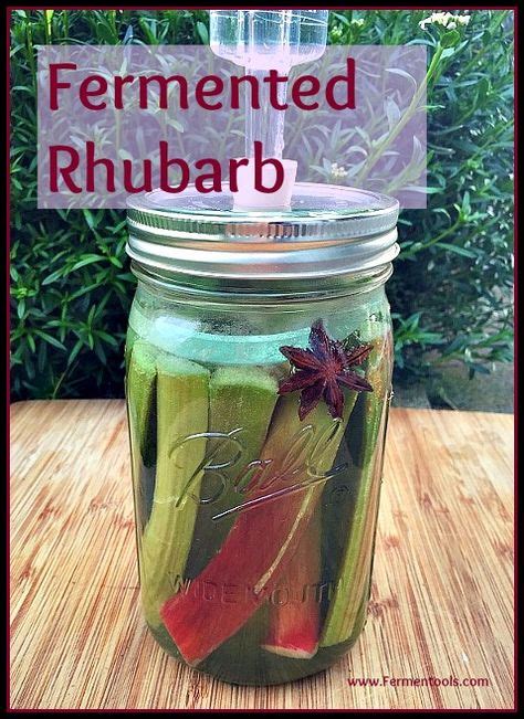 In summer, water more frequently than in winter. Fermented Rhubarb | Rhubarb, Fermentation recipes ...