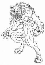 Wolf Werewolf Studies Were Drawing Dragon Fantasy Coloring Pages Lycanthrope Dog Immortal sketch template