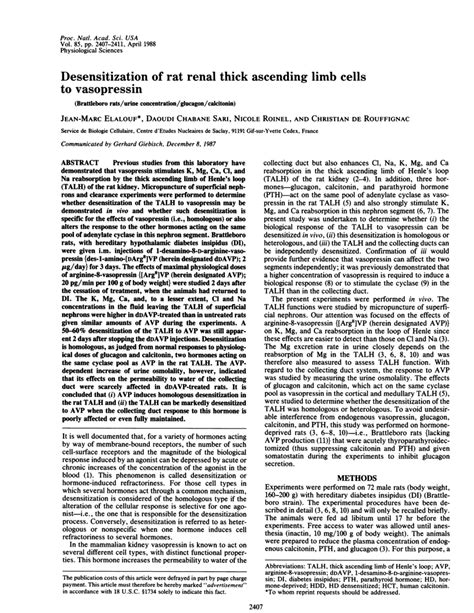 PDF Desensitization Of Rat Renal Thick Ascending Limb Cells To Vasopressin