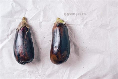 How To Tell If Eggplant Is Bad How To Ewq