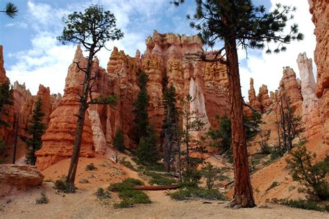 Bryce Canyon Wallpapers Wallpaper Cave