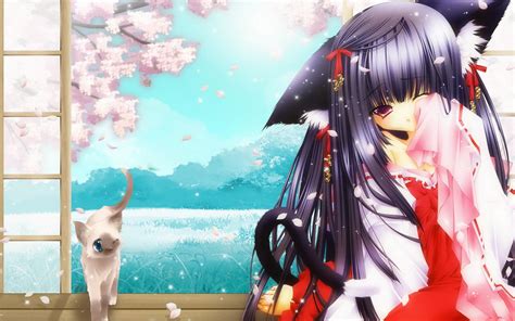 Free Download Anime Cat Girl Wallpapers Girl And Cat 1920x1200