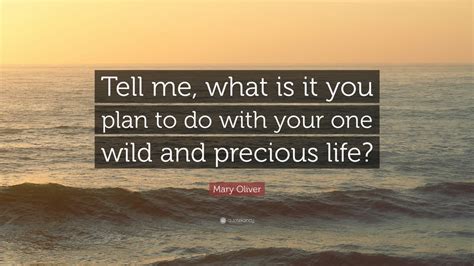 Mary Oliver Quote “tell Me What Is It You Plan To Do