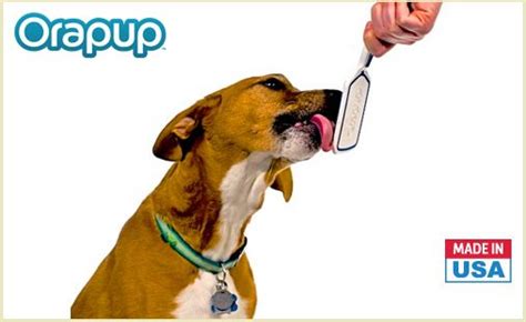 Doggyloot Discover New Products For Your Dog Animal Rescue Site