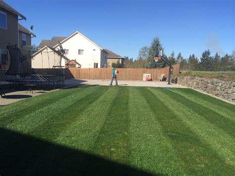 It's a competitive industry, but it's not impossible to break one of the easiest businesses to start is a lawn mowing business. How to mow straight stripes??? Please help | Page 2 ...