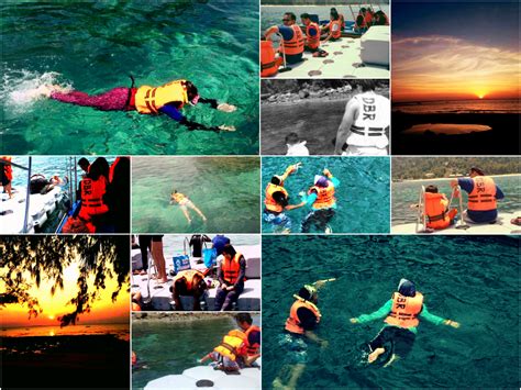 Lebih 15 pakej percutian ke pulau tioman dengan tawaran harga terbaik untuk anda, kenalan dan keluarga. PAKEJ PULAU TIOMAN 2017 & 2018 - Percutian Pulau Tioman