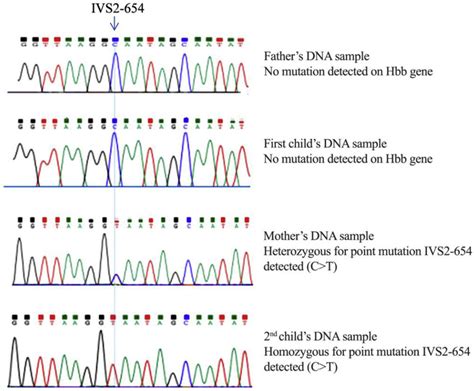 Detection And Confirmation Of Rare Mutations By Sanger Sequencing Download Scientific Diagram