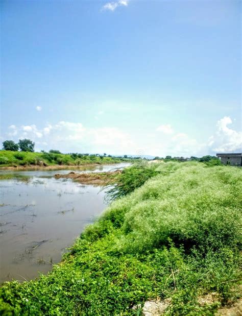 Beautiful River With Grass Water Sky Stock Image Image Of Water