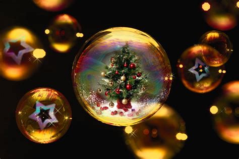 Christmas Tree · Free Photo On Pixabay