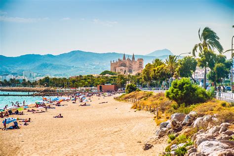 10 Choses à Faire à Palma De Majorque À La Découverte Des Joyaux De Palma De Majorque Guides Go