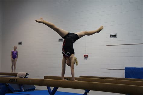 The best gymnastics club for kids and adults. Twirl and Twist Gymnastics: BYU gymnastics camp