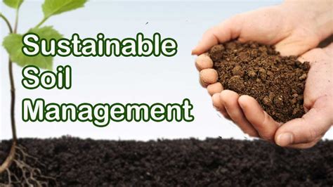 Sustainable Soil Management For Healthy Soil Modern Farming