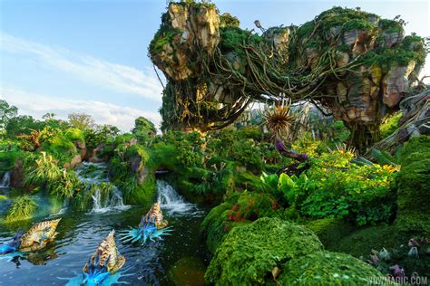 The Landscape Of Pandora The World Of Avatar Photo 15 Of 28