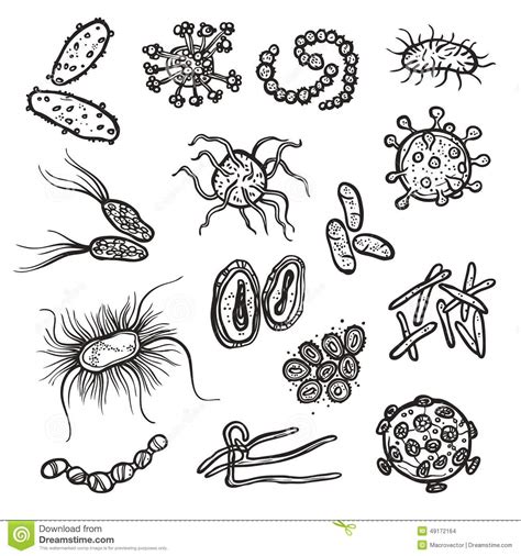 Los virus más pequeños y simples están constituidos únicamente por ácido nucleico y proteínas. Bacteria And Virus Cell stock vector. Illustration of ...