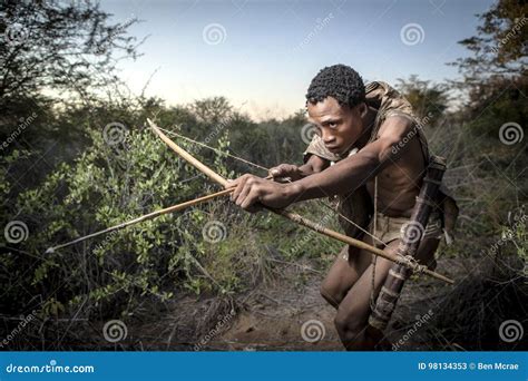 San Bushmen Hunting Editorial Stock Photo Image Of Concerntration