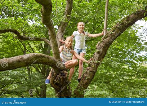 Two Happy Girls Climbing Up Tree In Summer Park Stock Image Image Of