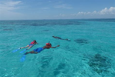 Diving Snorkeling And Fishing Tours From Placencia Belize Luxury