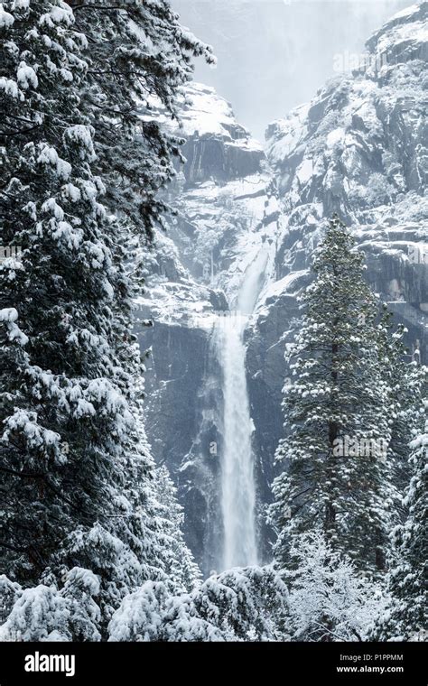 Yosemite Falls With Snow In Winter Yosemite Valley Yosemite National