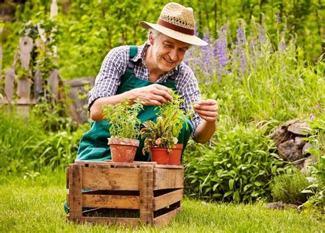 Benefits Of Horticulture Therapy For Dementia Readementia
