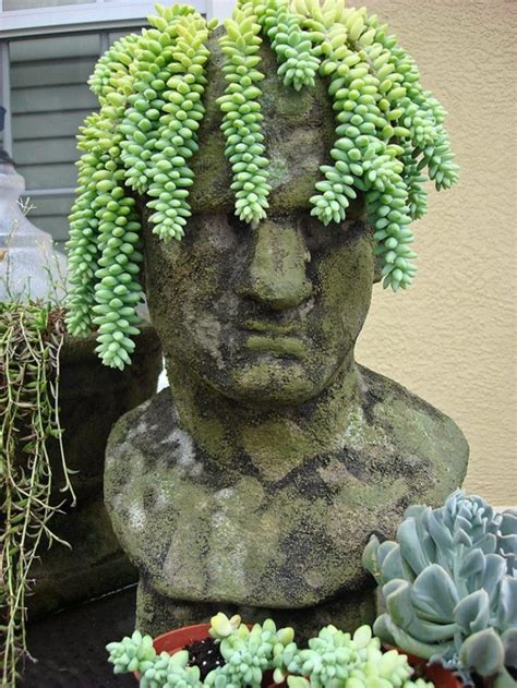 Absolutely Awesome Head Planters That Will Make Your Day