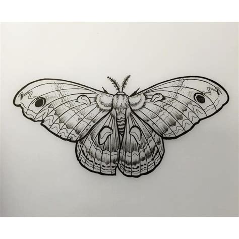 Moth Tattoo Design Butterfly Tattoo Designs Henna Butterfly Tatoo
