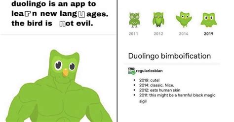 Dumb Duolingo Memes For Both Linguists And Language Luddites In 2022