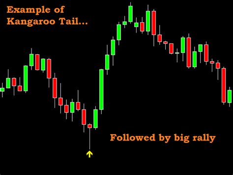 Buy The Naked Forex Kangaroo Tail For Mt Technical Indicator For My
