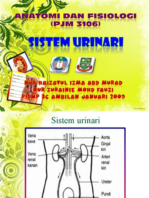 Anatomi And Fisiologi Sistem Urinari