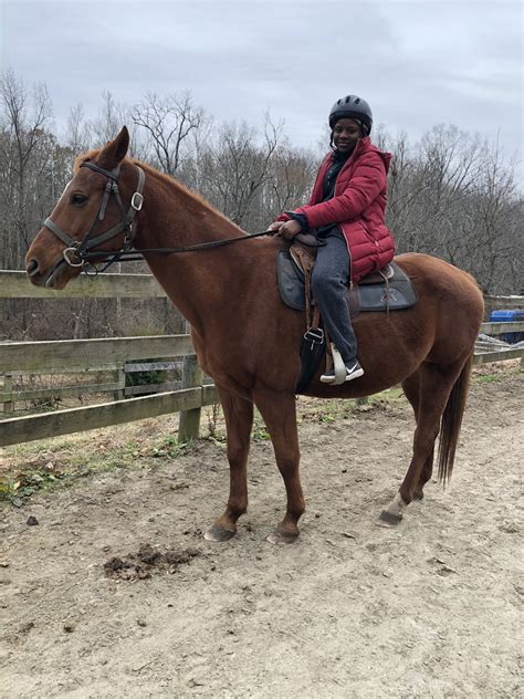 Horseback Riding In Baltimore Maryland Leisure And Wellness