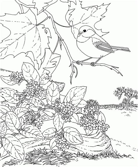 The washington huskies colors are purple, gold, and metallic gold. Washington State Cougars Coloring Pages Coloring Pages