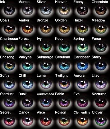 Eye Color Chart With Names Google Search Male Model Pinterest