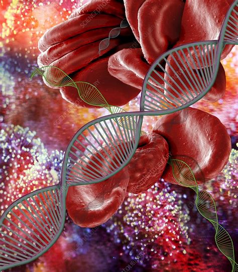 Genetic Blood Disorders Conceptual Illustration Stock Image F021