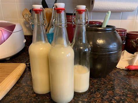 I Made Makgeolli Korean Rice Alcohol Using A Recipe From 1450 Old