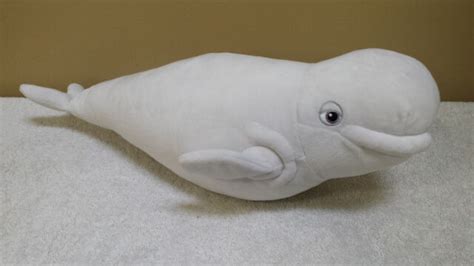 18 Bailey Beluga Whale Plush Toy Doll Stuffed Animal Disney Ebay