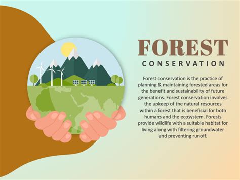 Conservation Of Forest And Wildlife