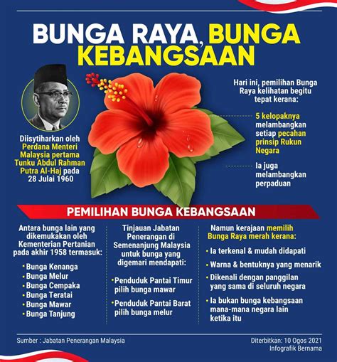 Bunga Raya Fakta And Sejarah Bunga Kebangsaan Malaysia