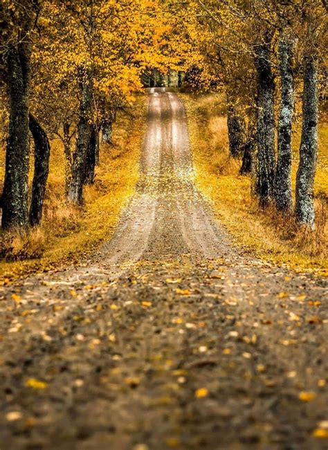 Pin By Becky Cagwin On Roads Towhere Scenery Country Roads Road