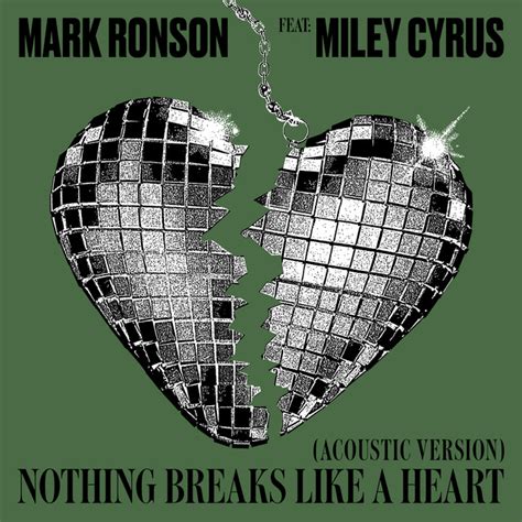 Nothing Breaks Like A Heart Acoustic Version Song And Lyrics By