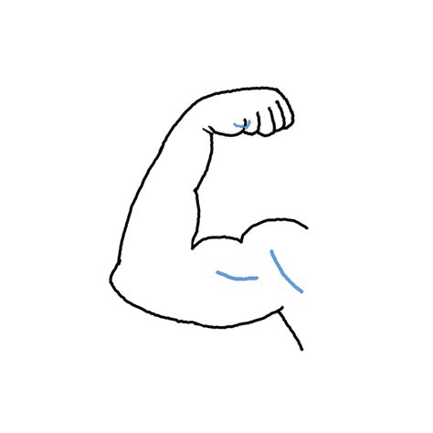 How To Draw Muscles Step By Step Easy Drawing Guides Drawing Howtos