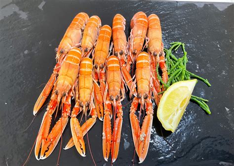 Frozen Cooked Langoustines Dr Collin Fish