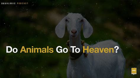 Do Animals Go To Heaven Youtube