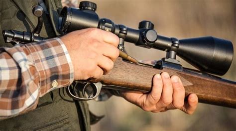 8 Best Scopes For 223 Rifles In 2024 Precision Accuracy